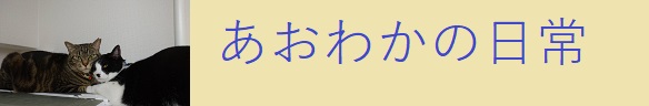 あおわかの日常